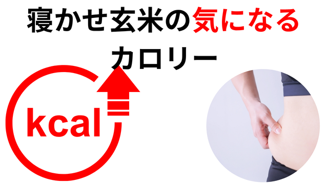 寝かせ玄米の気になるカロリー　比較